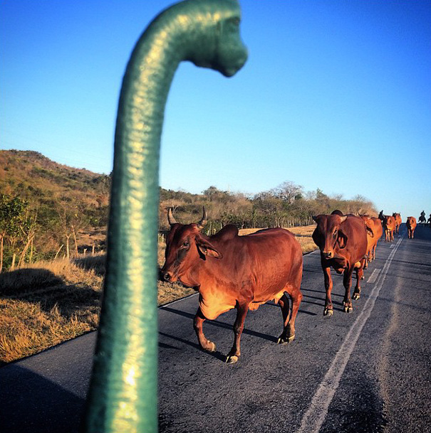 travel-photography-dinosaur-toys-dinodinaseries-jorge-saenz-168 travel-photography-dinosaur-toys-dinodinaseries-jorge-saenz-168