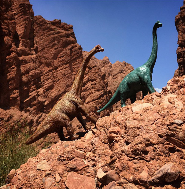 travel-photography-dinosaur-toys-dinodinaseries-jorge-saenz-174