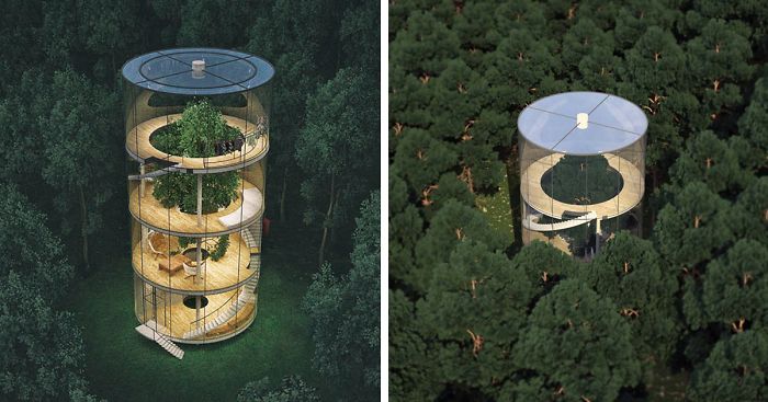 Stunning Tubular Glass House Built Around Tree