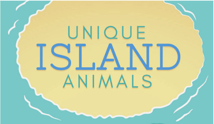 Unique Island Animals