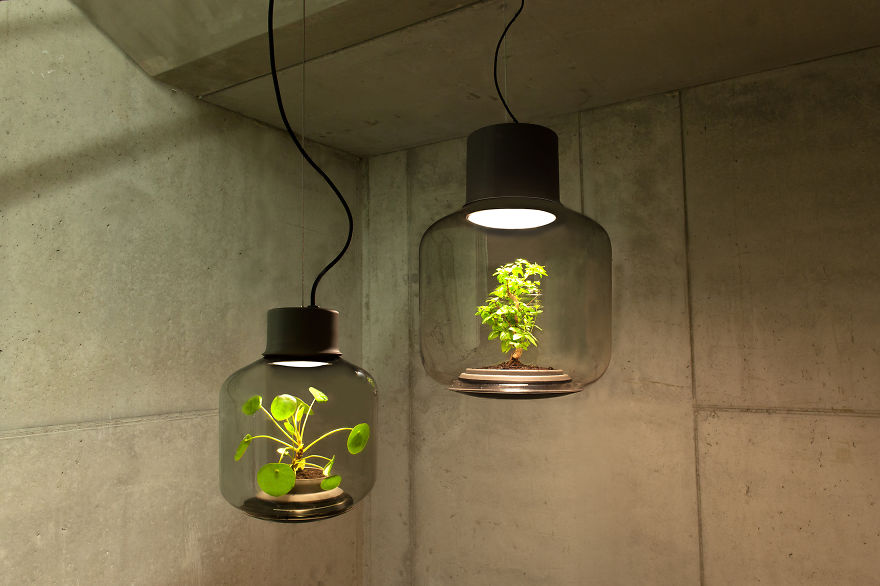 We Designed These Lamps To Grow Plants In Windowless Spaces