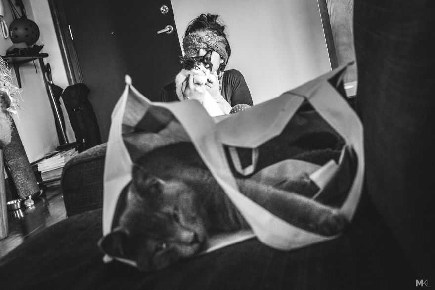 What It's Like To Live With 4 Cats What It's Like To Live With 4 Cats