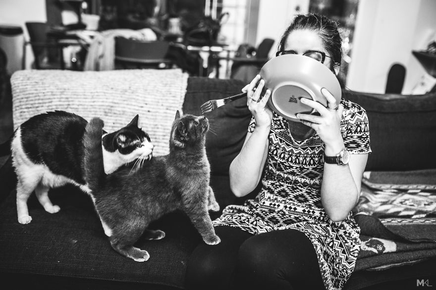 What It's Like To Live With 4 Cats