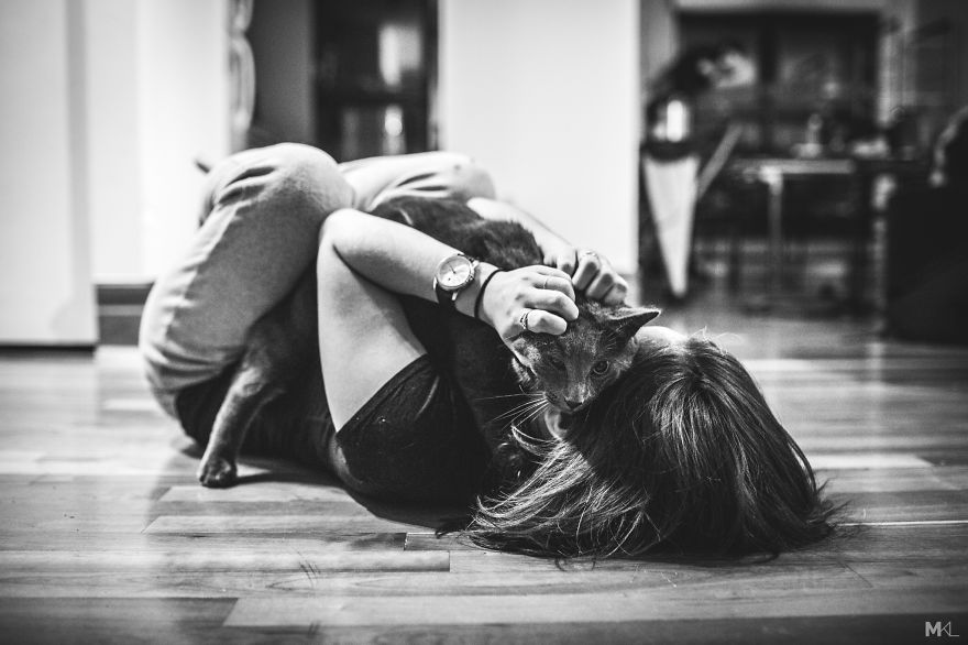 What It's Like To Live With 4 Cats What It's Like To Live With 4 Cats