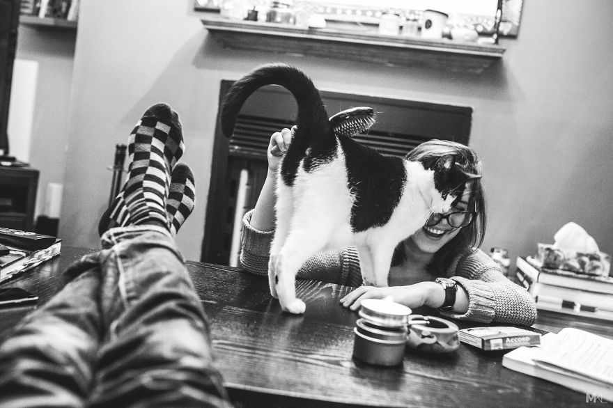 What It's Like To Live With 4 Cats