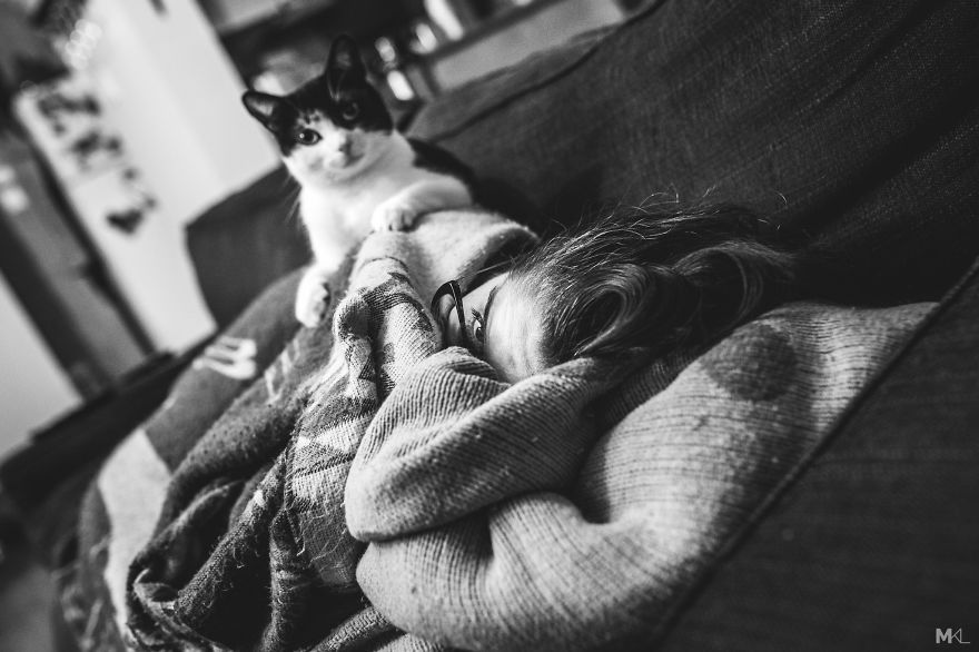 What It's Like To Live With 4 Cats What It's Like To Live With 4 Cats