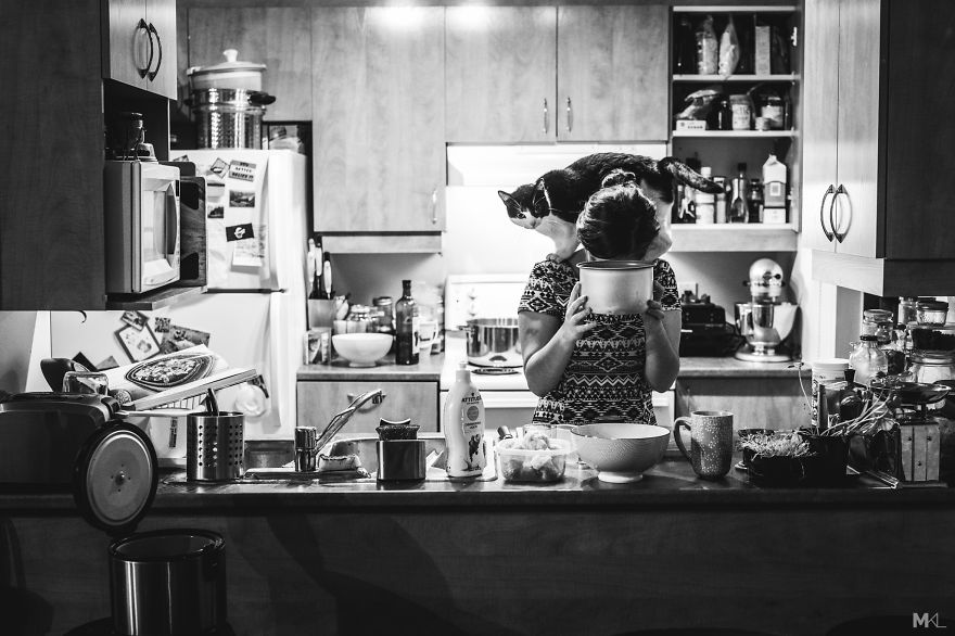 What It's Like To Live With 4 Cats What It's Like To Live With 4 Cats