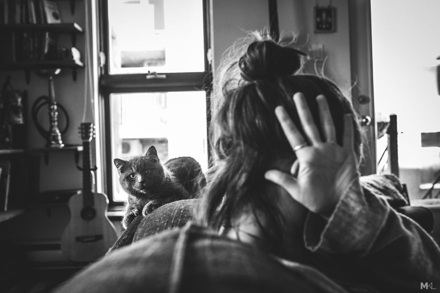 What It's Like To Live With 4 Cats What It's Like To Live With 4 Cats