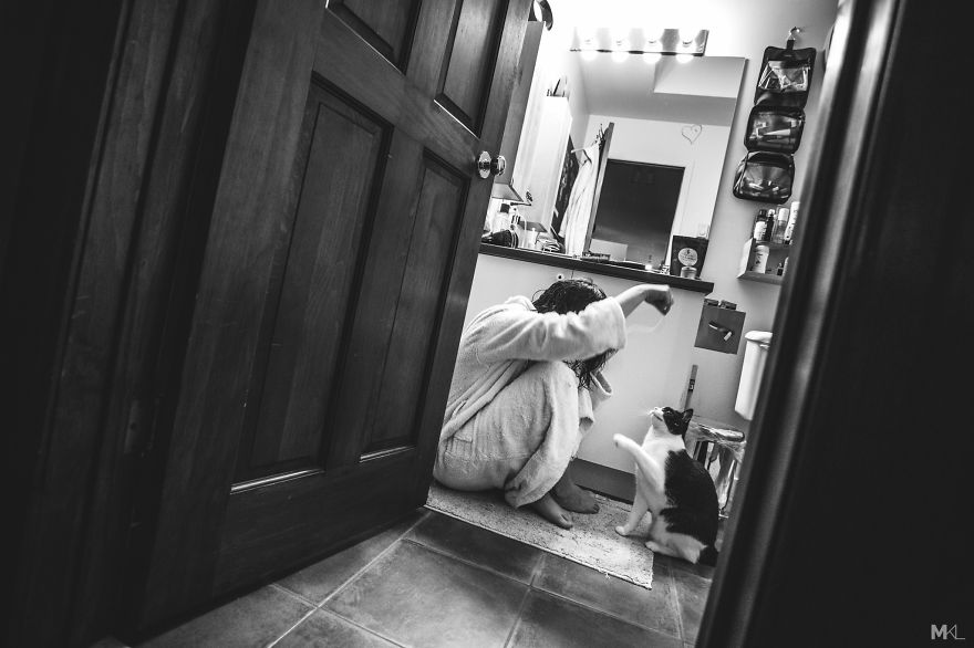 What It's Like To Live With 4 Cats What It's Like To Live With 4 Cats