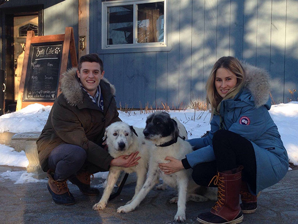 woman-rescues-250-dogs-israel-shelter-project-dog-tales-2 woman-rescues-250-dogs-israel-shelter-project-dog-tales-2