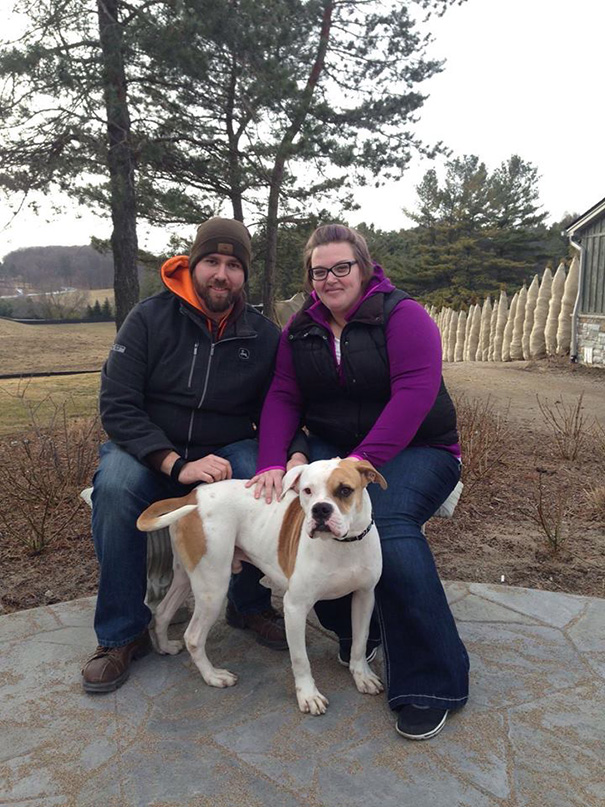 woman-rescues-250-dogs-israel-shelter-project-dog-tales-4 woman-rescues-250-dogs-israel-shelter-project-dog-tales-4