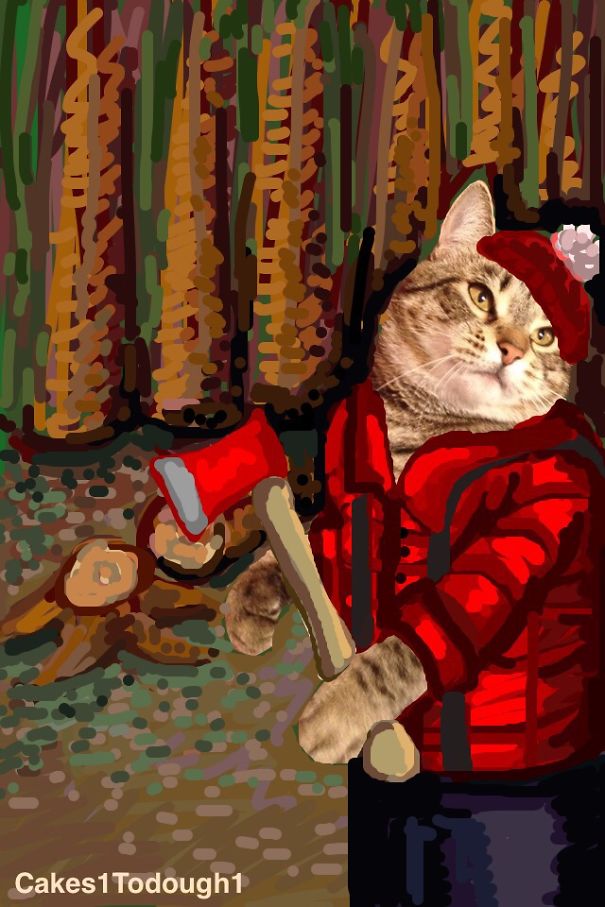 Snapchat + Cats = Snapcats