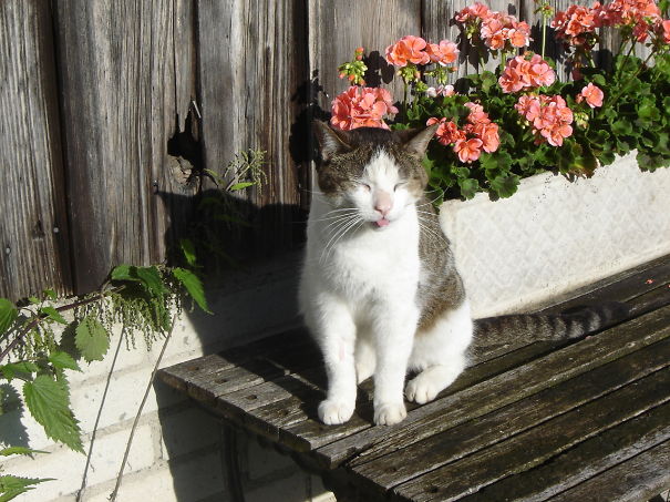 Mickesch ... Soo Zufrieden