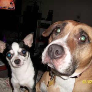 myheartisforalley avatar