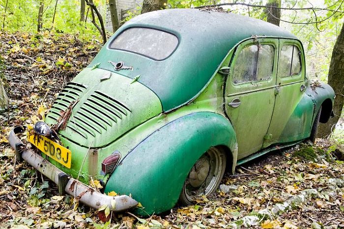 I Found An Amazing Vintage Cars Museum With Exhibits Overtaken By Nature I Found An Amazing Vintage Cars Museum With Exhibits Overtaken By Nature