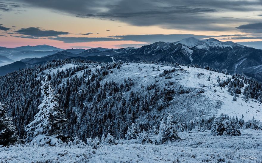 We Are Dating On The Tops Of The Mountains We Are Dating On The Tops Of The Mountains