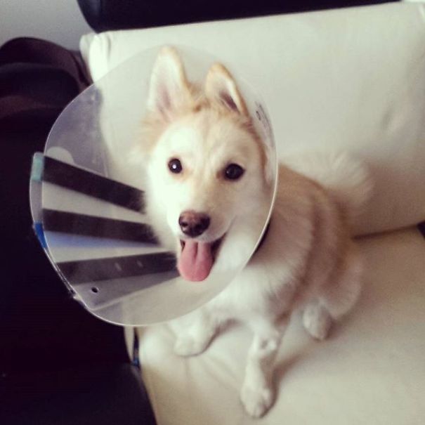 Nothing Can Bring Me Down