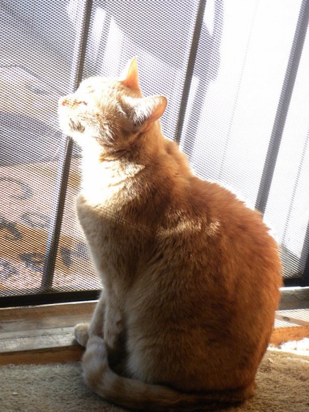 Sir Isaac Soaking It In.