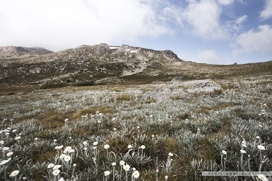 I Photographed 20 Places In Australia Where Anyone Would Love To Get Lost