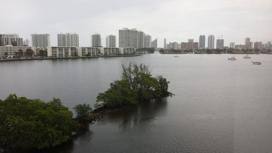 Rainy Day Outside The Office, Aventura Florida
