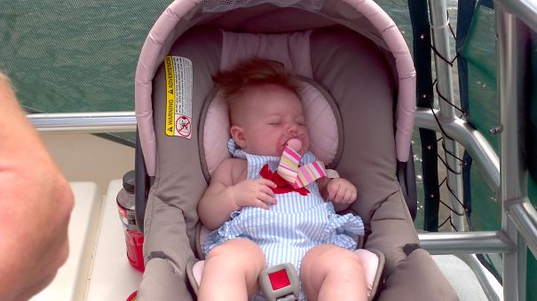 Just Three Months Old... Hawk For Dayzzz