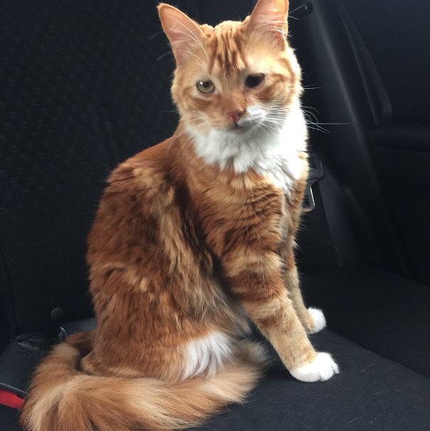 I Can't See Very Well With One Of My Eyes That's Why It Became Googly