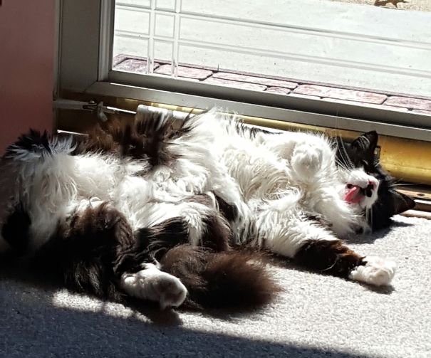 Sun Bathing