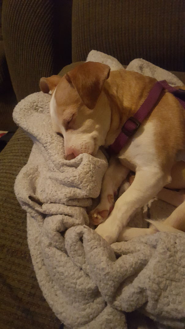 Sometimes She Smiles In Her Sleep.