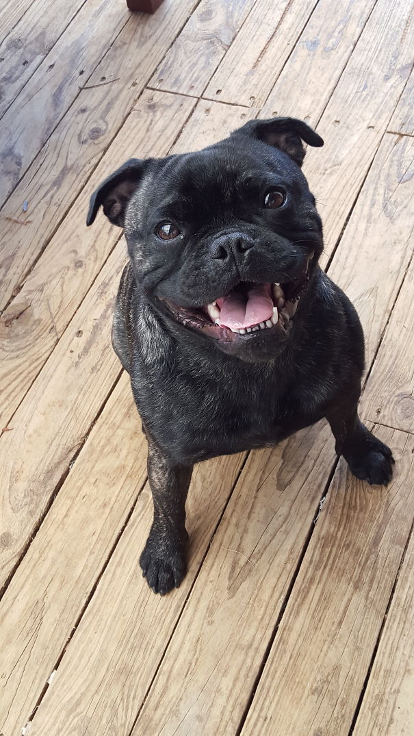 Best Smile I Have Seen ????