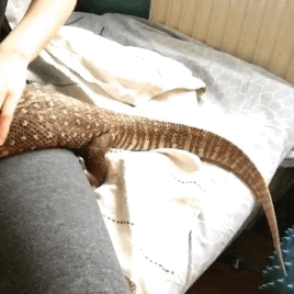 ..................2222333