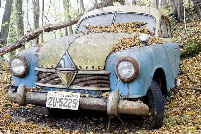 I Found An Amazing Vintage Cars Museum With Exhibits Overtaken By Nature I Found An Amazing Vintage Cars Museum With Exhibits Overtaken By Nature