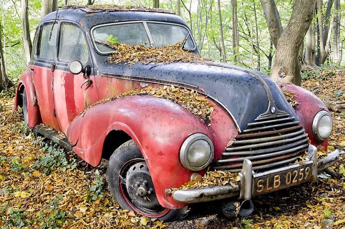 I Found An Amazing Vintage Cars Museum With Exhibits Overtaken By Nature I Found An Amazing Vintage Cars Museum With Exhibits Overtaken By Nature