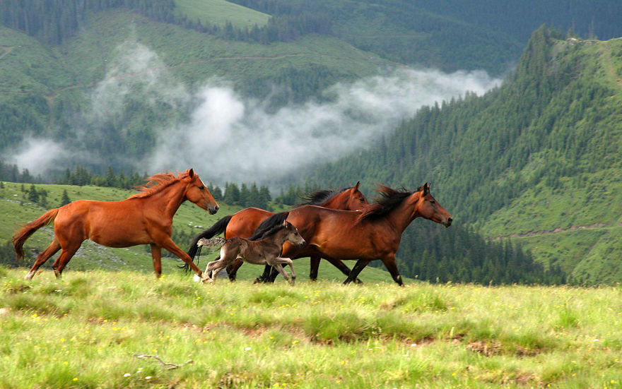 37 Reasons Why You Should Never Visit Romania 37 Reasons Why You Should Never Visit Romania