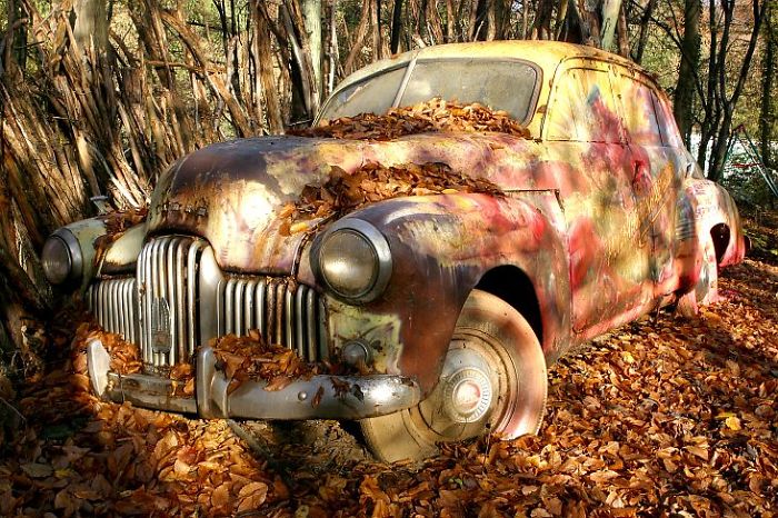 I Found An Amazing Vintage Cars Museum With Exhibits Overtaken By Nature I Found An Amazing Vintage Cars Museum With Exhibits Overtaken By Nature