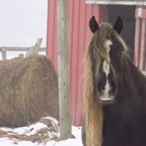 lillywarren5656 avatar