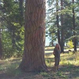 basiabaklinski avatar