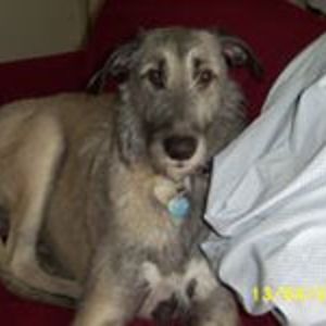 dongbangju_ai avatar