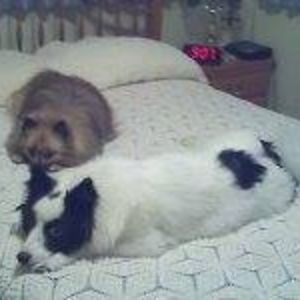 sweetjennie45 avatar