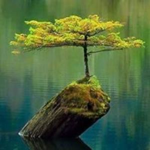 lucybellemaude avatar