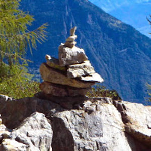 juliaschmitz-leuffen avatar