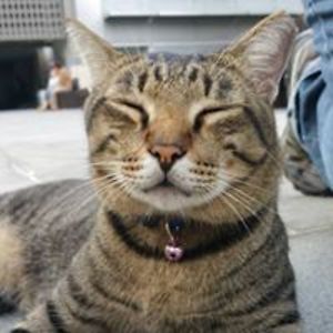 matthew_lee_1 avatar