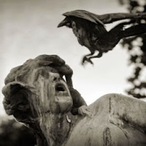 neillaugustine avatar