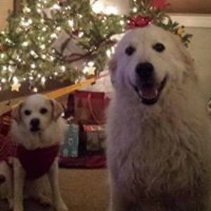 sam_parent_mt avatar