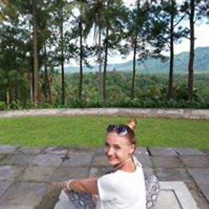 edytaborowiecka avatar