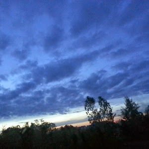 thienngocnguyen avatar