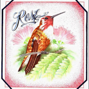 rosalintorres avatar