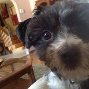 mcbrearty_kathleen avatar