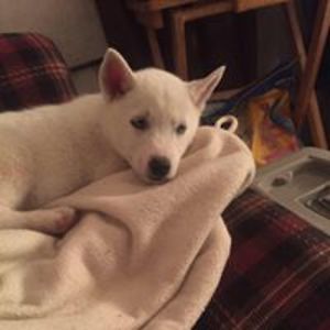 marie_jacobson avatar