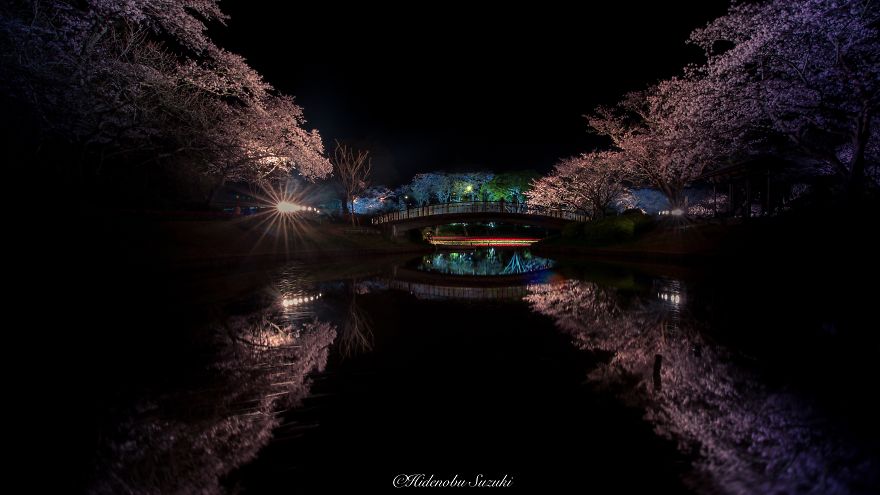 I Took Pictures Of The Amazing Sakura Bloom In Japan I Took Pictures Of The Amazing Sakura Bloom In Japan