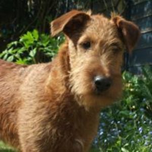 paula_ovenden avatar